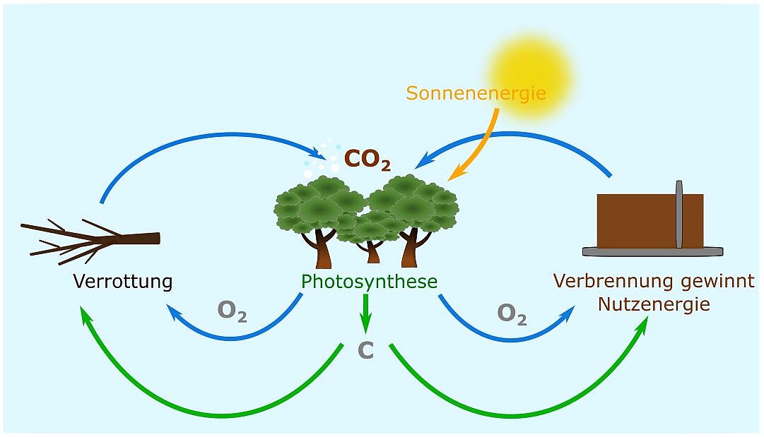Darstellung des CO2-Kreislaufs